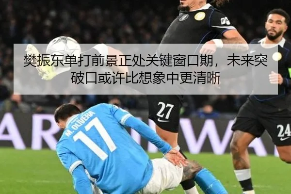 樊振东单打前景正处关键窗口期，未来突破口或许比想象中更清晰